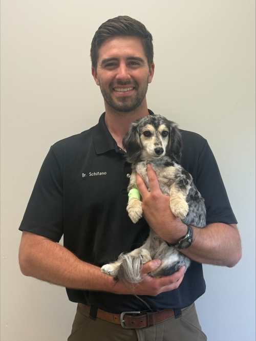 Joe Schifano, DVM